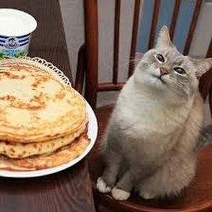 Meet your Posher, Sum